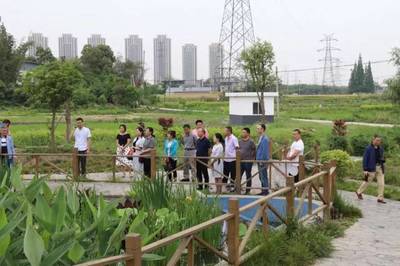 泰興鎮(zhèn)人大代表團(tuán)開展《水污染防治法》專項視察，推進(jìn)水污染治理工作