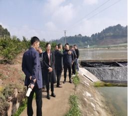 守護一泓清流 簡陽金堂攜手推進水產(chǎn)養(yǎng)殖尾水治理，共護陽化河流域生態(tài)
